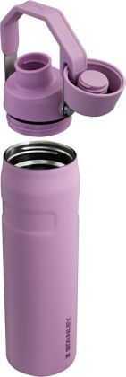 Stanley Aerolight™ IceFlow™ Trinkflasche Fast Flow 600ml, lila - 2. Wahl (Lackfehler)